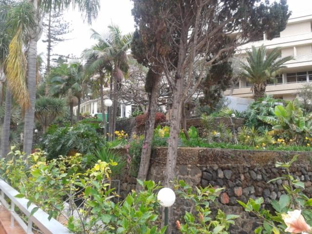 Tranquilo Apartamento Puerto De La Cruz Εξωτερικό φωτογραφία